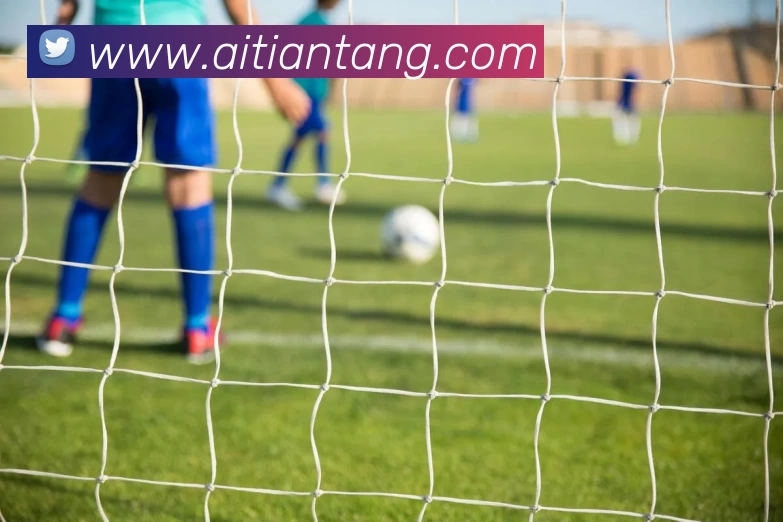 leyu乐鱼手机登录入口APP 封面图